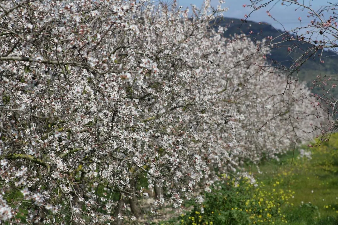 014 Finca Cantabou Etv2728 By Mallorca Charme 셀바 0*,  스페인